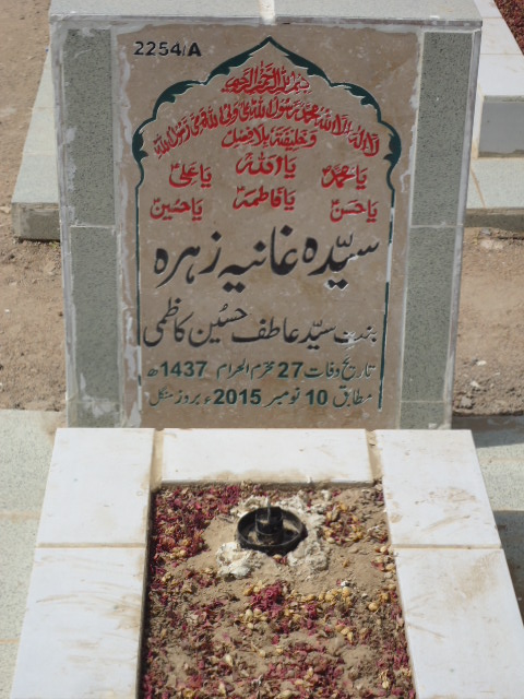 12254 – Syeda Ghania Zehra