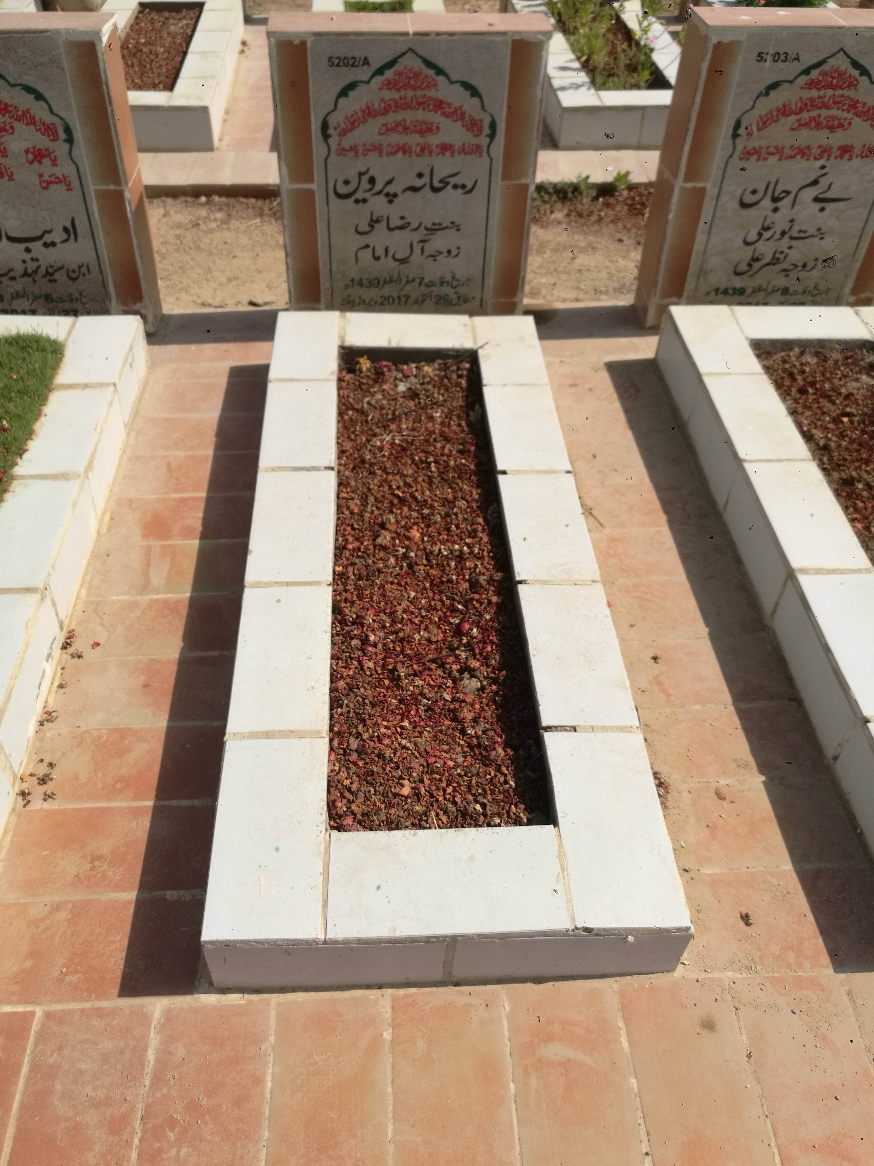 15202 – Rehana Parveen