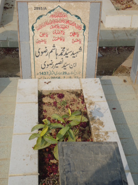 12895 – Shaheed Syed Muhammad Hashim Rizvi