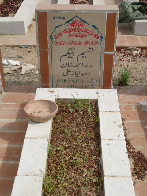 14729 – Naseem Begum
