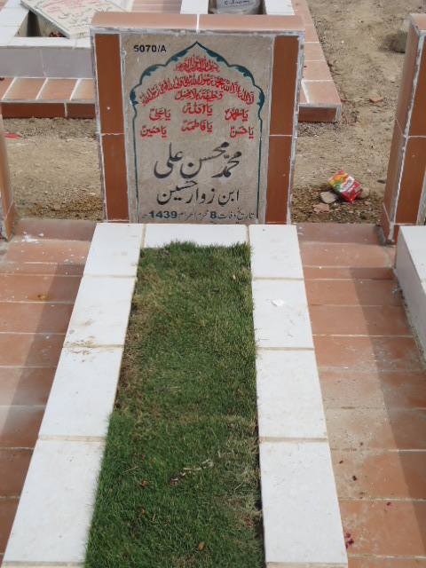 15070 – Muhammad Mohsin Ali