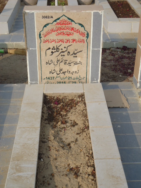 13082 – Syeda Kaneez Kulsoom