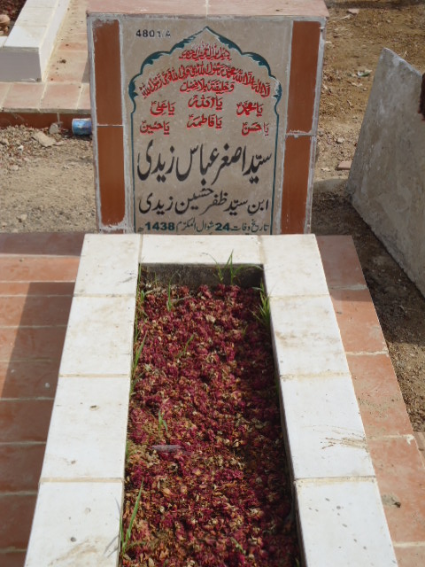 14801 – Syed Asghar Abbas Zaidi