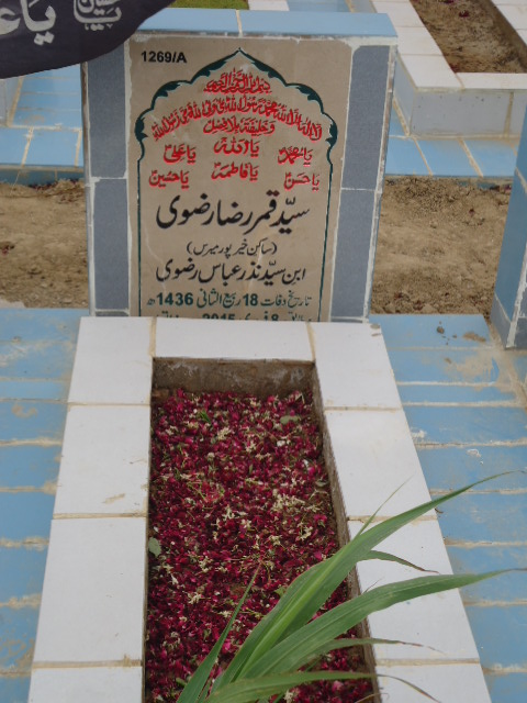 11269 – Syed Qamar Raza Rizvi