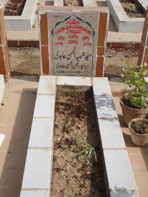 14203 – Syed Shabhi Ul Hassan Abidi