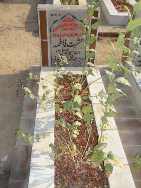 15636 – Syeda Kaneez Kubra