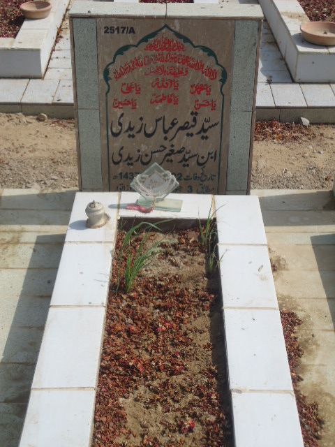 12517 – Syed Qaisar Abbas Zaidi