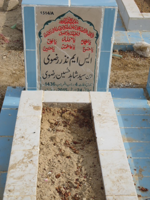 11514 – S M Nazar Rizvi