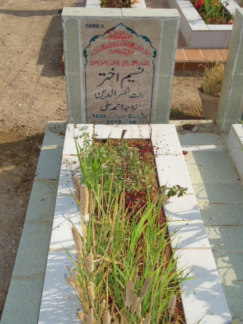 16090 – Naseem Akhtar