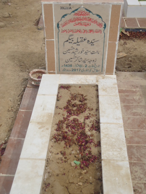 13929 – Syeda Aqeela Begum