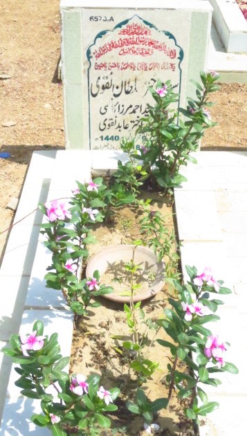16573 – Syeda Akhtar Sultan Naqvi