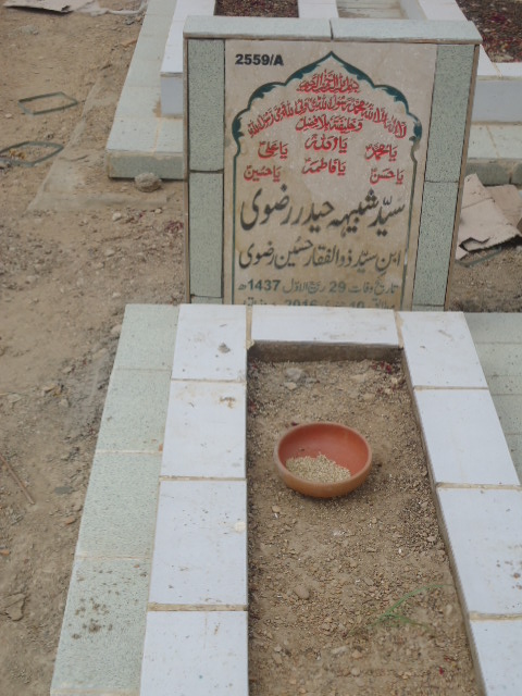 12559 – Syed Shabhe Haider Rizvi