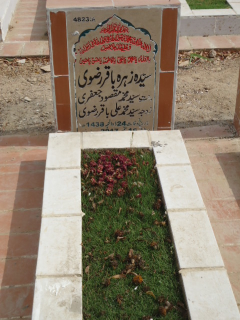 14823 – Syeda Zehra Baqar Rizvi