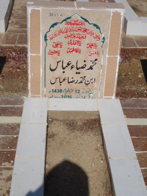 13655 – Muhammad Zia Abbas