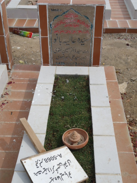15068 – Syeda Aliya Bano