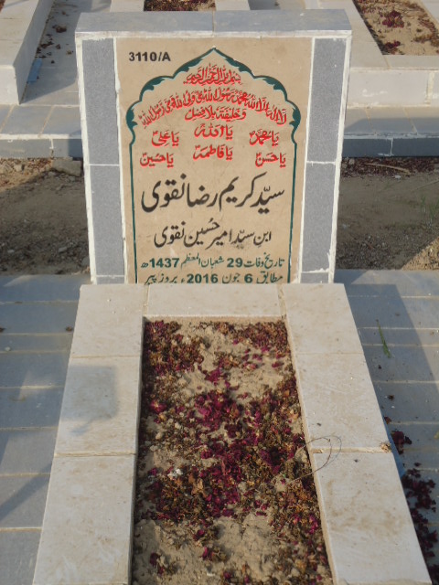 13110 – Syed Kareem Raza Naqvi