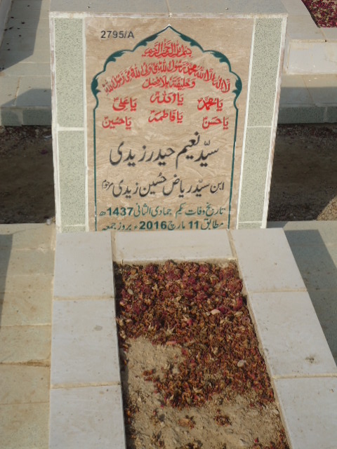 12795 – Syed Naeem Haider Zaidi