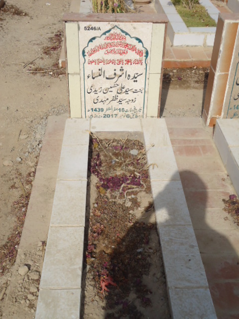 15246 – Syeda Ashraf Un Nisa Zaidi