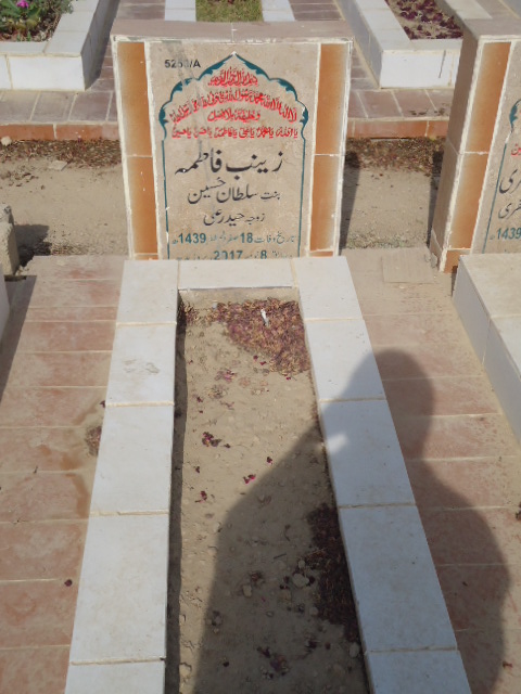 15253 – Zainab Fatima