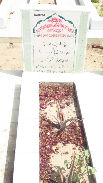 16482 – Parveen Zehra