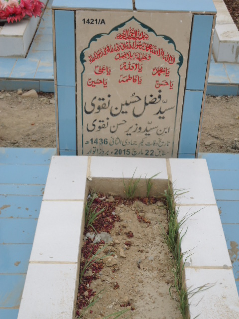 11421 – Syed Fazal Hussain Naqvi