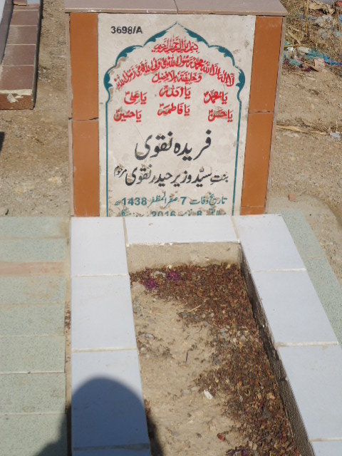 13698 – Fareeda Naqvi