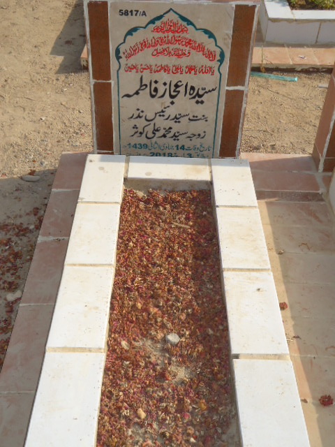 15817 – Syeda Ijaz Fatima