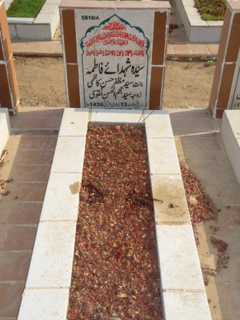 15810 – Syeda Shahdai Fatima