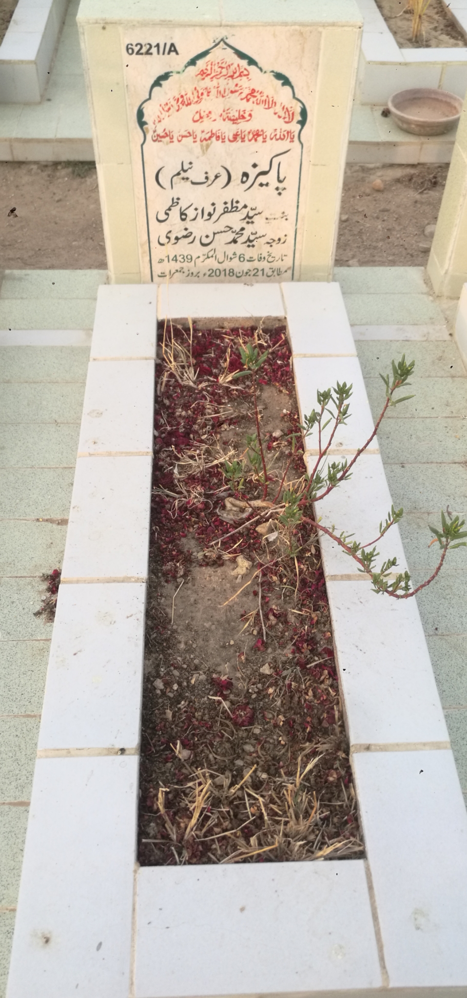 16221 – Pakeeza