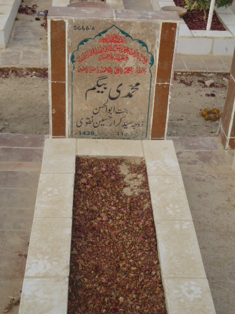 15666 – Muhammadi  Begum
