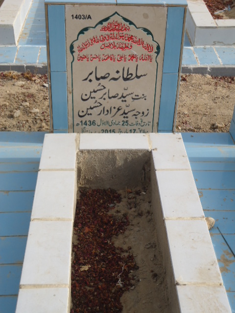 11403 – Sultana Sabir
