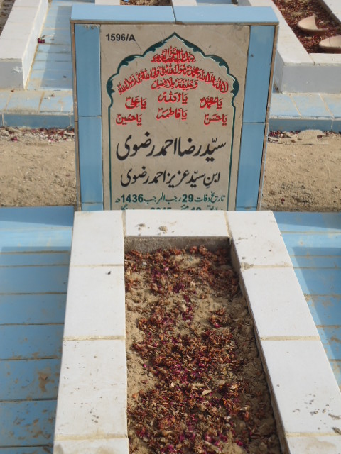 11596 – Syed Raza Ahmed Rizvi