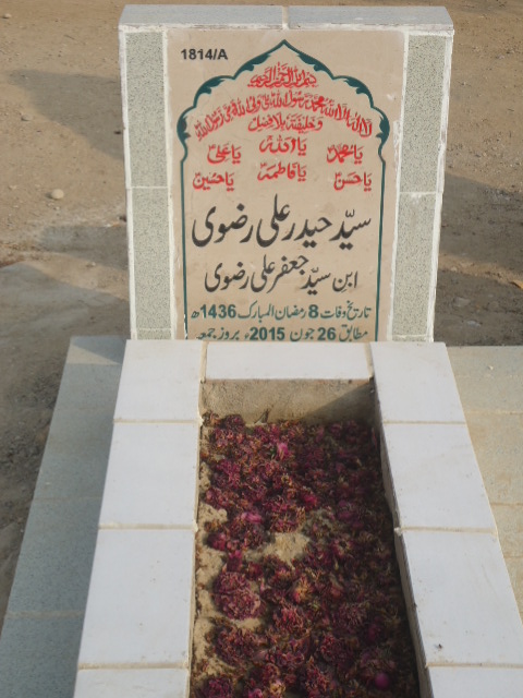 11814 – Syed Haider Ali Rizvi