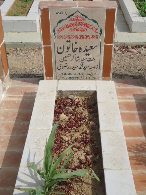 14399 – Saeeda Khatoon