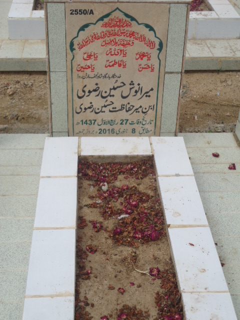 12550 – Mir Anosh Hussain Rizvi