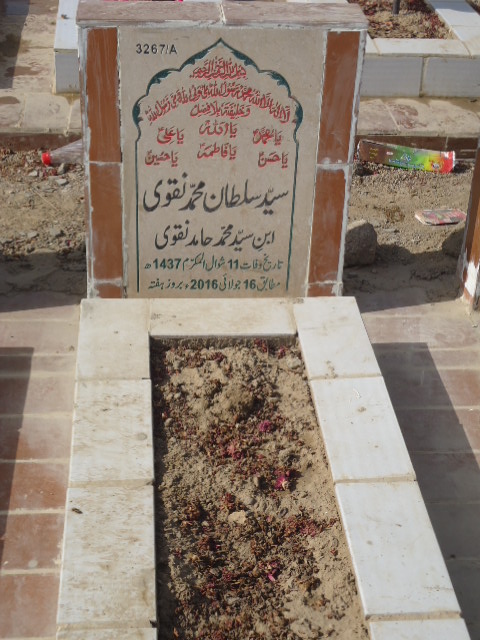 13267 – Syed Sultan Muhammad Naqvi
