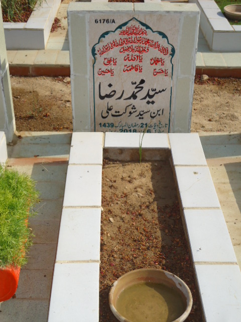 16176 – Syed Muhammad Raza