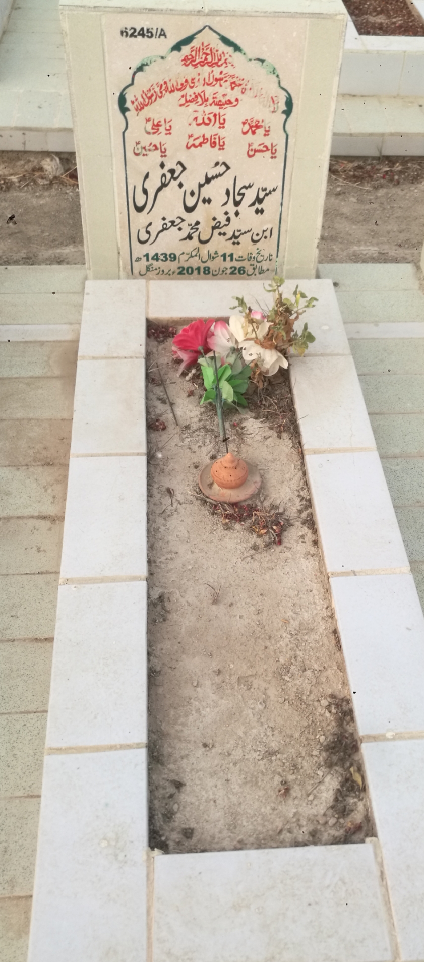 16245 – Syed Sajjad Hussain Jaffery
