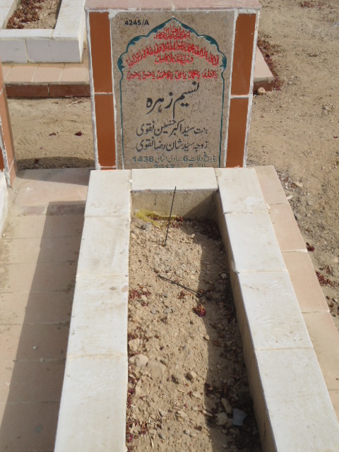 14245 – Naseem Zehra
