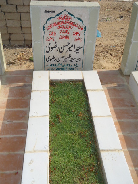 15994 – Syed Ameer Hassan Rizvi