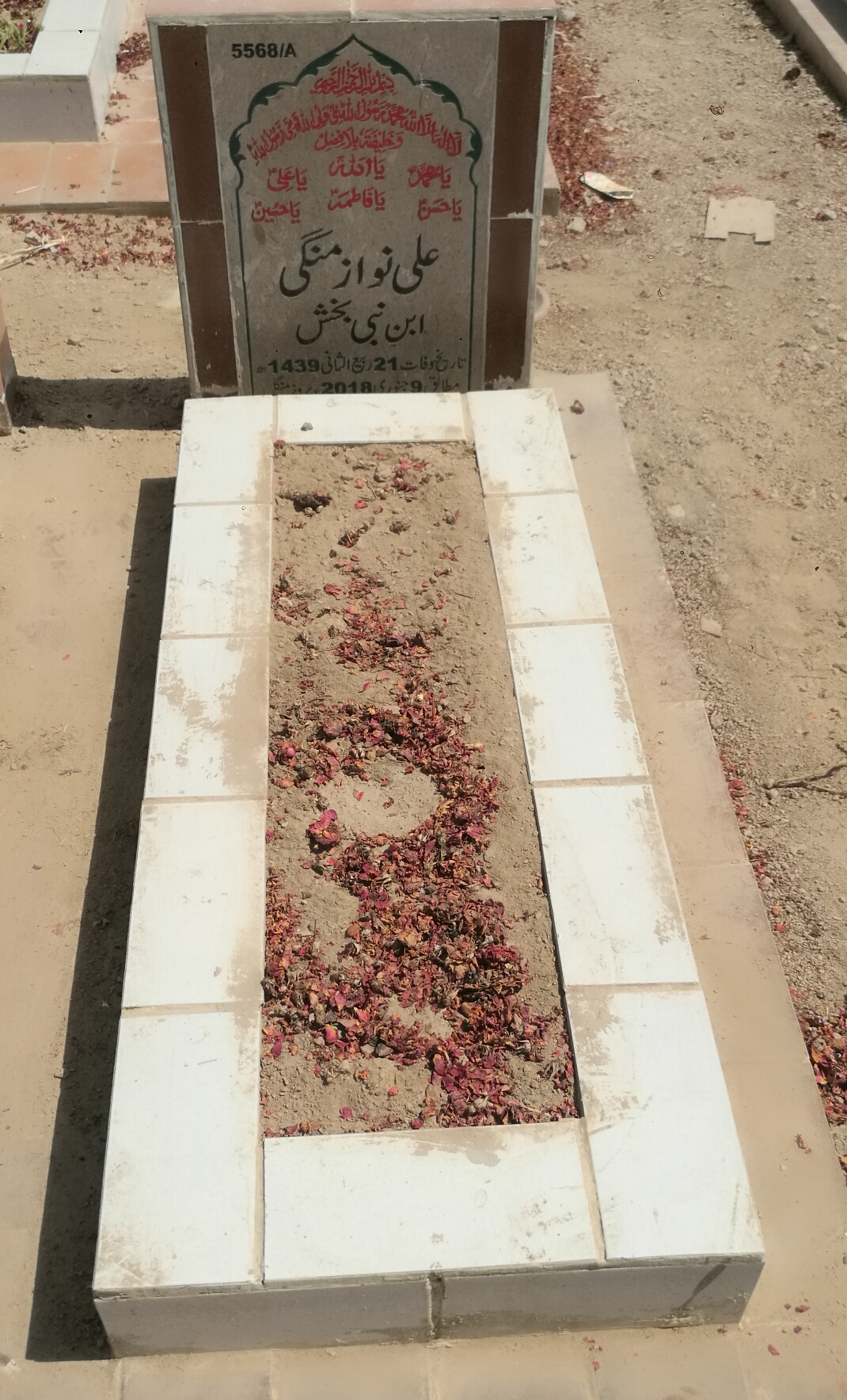 15568 – Ali Nawaz Mangi
