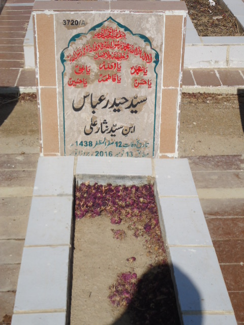 13720 – Syed Haider Abbas