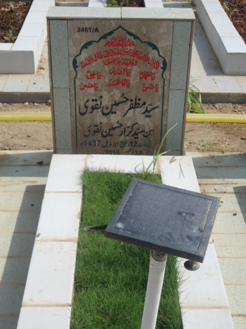 12461 – Syed Muzafar Hussain Naqvi