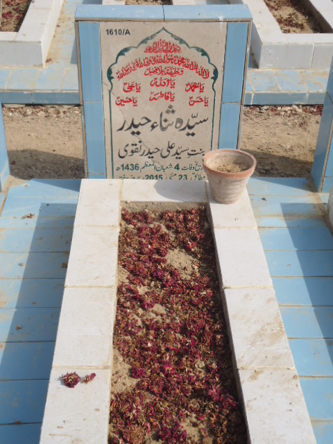 11610 – Syeda Sana Haider