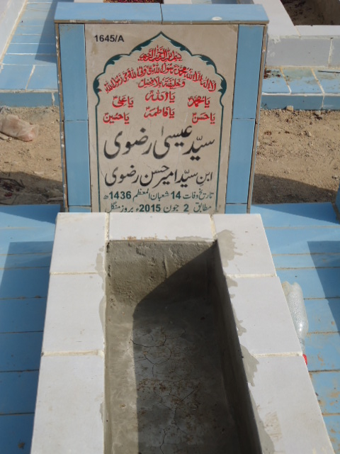 11645 – Syed Essa Rizvi