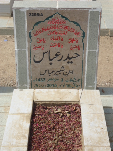 12295 – Haider Abbas