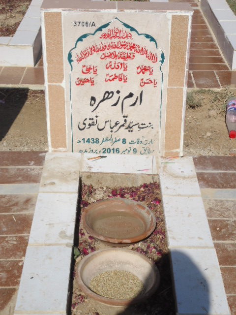 13706 – Erum Zehra