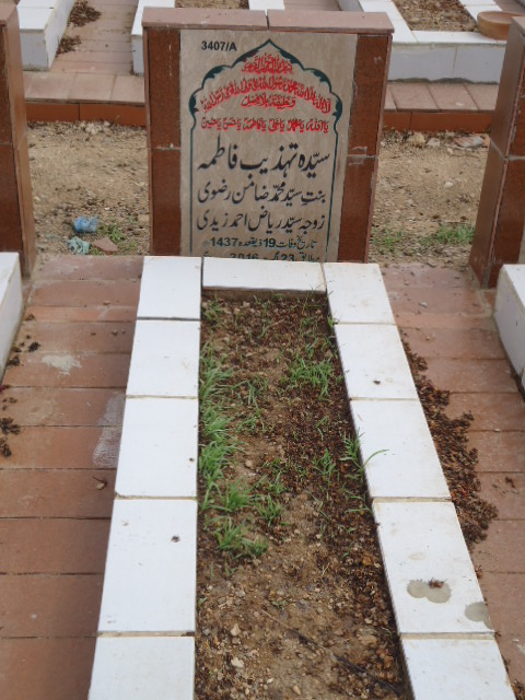 13407 – Syeda Tehzeeb Fatima