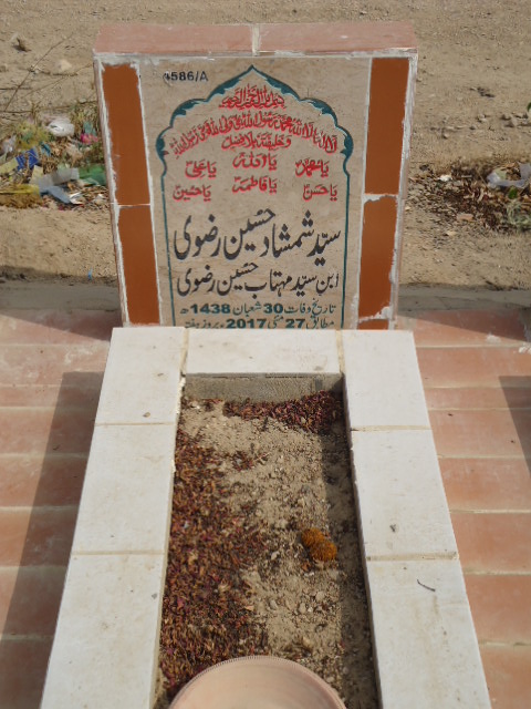 14586 – Syed Shamshad Hussain Rizvi