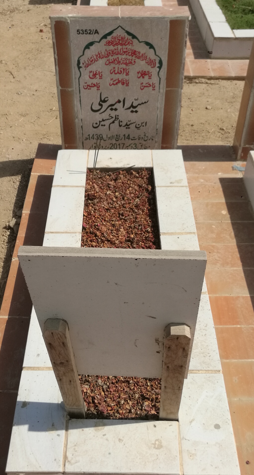 15352 – Syed Ameer Ali